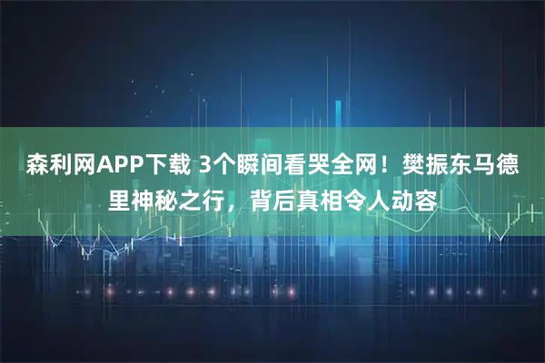 森利网APP下载 3个瞬间看哭全网！樊振东马德里神秘之行，背后真相令人动容