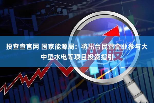 投查查官网 国家能源局：将出台民营企业参与大中型水电等项目投资指引