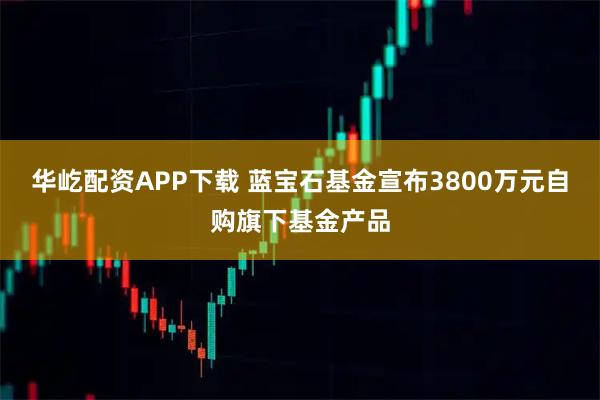 华屹配资APP下载 蓝宝石基金宣布3800万元自购旗下基金产品